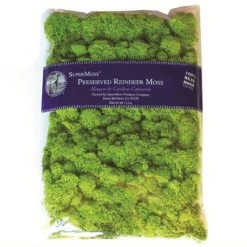 SuperMoss Preserved Bagged Reindeer Moss - Chartreuse