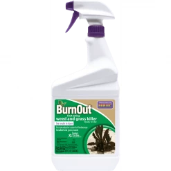 Bonide BurnOut Weed & Grass Killer