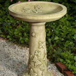 Campania Butterflies Are Free Birdbath Birding