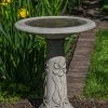Campania Iris Birdbath Birding