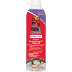 Bonide® Wasp & Hornet Killer - Foam Disease, Weed & Pest Control