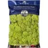 SuperMoss Preserved Bagged Reindeer Moss - Chartreuse 2 SuperMoss Preserved Bagged Reindeer Moss - Chartreuse