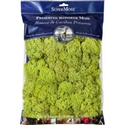 SuperMoss Preserved Bagged Reindeer Moss - Chartreuse