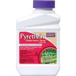 Disease, Weed & Pest Control Bonide Pyrethrin Garden Insect Spray