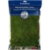 SuperMoss Sheet Moss Preserved - Fresh Green Gardening Accessories