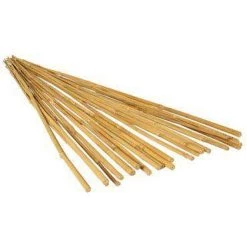 BFG Bamboo Stakes Gardening Accessories