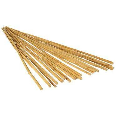 BFG Bamboo Stakes Gardening Accessories 3 BFG Bamboo Stakes Gardening Accessories