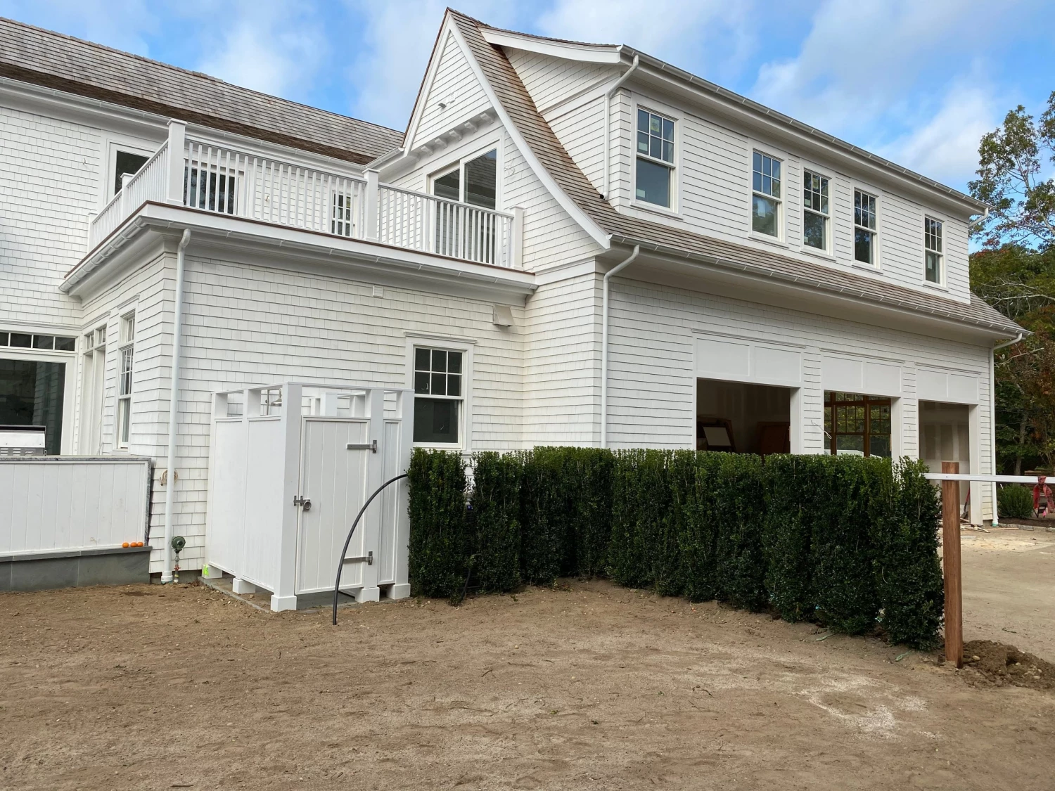 Bay Gardens Boxwood 'Dee Runk' Privacy Plants 10 Bay Gardens Boxwood 'Dee Runk' Privacy Plants